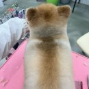 대빵하우스 이미지