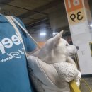 도그플러스 동물병원 마산점 이미지