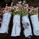 철없는펜션 이미지