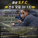 화성/수원 ) 화성 SFC U-12 선수 모집 (성장하는 축구클럽) 이미지