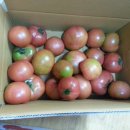 석수농장 이미지