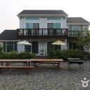 새바라기 이미지