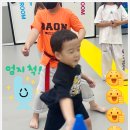신나는 다온태권도장 이미지