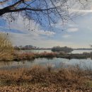 서호공원 이미지