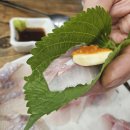 싱싱회수산최강물회