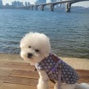 웨스트우드치과의원 | 12월 일상