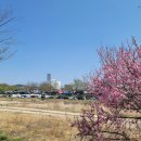 담양시장(주차장) 이미지