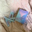 웰라핏 | 다이어트 보조제 추천: 웰라핏 비울라고 2주 다이어트 후기(진행중)