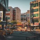 일산 행정사 사무소 이미지