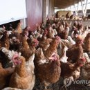 현모농장 이미지