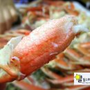원조등대수산 이미지
