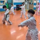 경희대청룡태권도 이미지