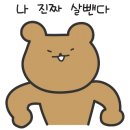 코스모투어 네이버블로그