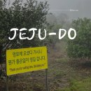 792 | 제주도 :: 3일차 - 비가 와야 볼 수 있는 엉또폭포