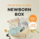 뉴본