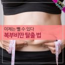 복부비만 탈출 법 이미지