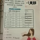 엠에스(MS) 이미지