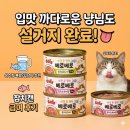 베로베로 | 입맛 까다로운 냥님도 설거지 완료! 👅 '더캣츠 베로베로' 참치캔 급여 후기 (ft. 음수량 폭발/길냥이 추천)