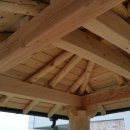 소나무어린이집 이미지