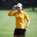 하이트퀸 이미지