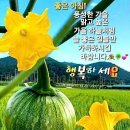 9월23일 뉴스브리핑 이미지