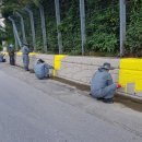 희망의 손 이미지