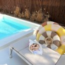 하이브 | 남양주 감성 독채 숙소 하이브빌리지 솔직후기