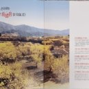 산수유꽃담길평촌 영농조합법인 이미지