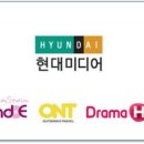 미디어12
