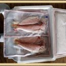 제주선물 - 제주시 관덕로 20 | 제주선물