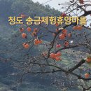 송금녹색농촌휴양마을 이미지