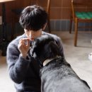 조슈아로그
