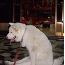 극동전자 이미지