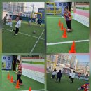 고려합기도 이미지