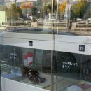 짱구애견하우스 이미지