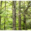 온천원탕모텔 이미지