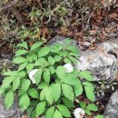 하늘빛 황토방 이미지