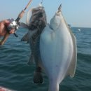 달빛좌대 이미지