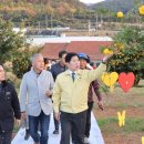 고흥유자석류축제 이미지