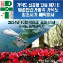 가덕도 동백군락지 이미지