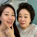 미자 일간스포츠