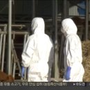 안서농장 네이버블로그