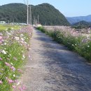 강동로1-99 이미지