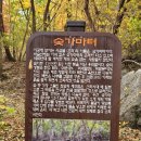 비슬산자연휴양림 이미지