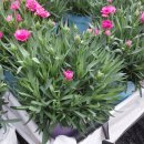 광주농장 이미지