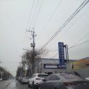 동서금모터스 이미지