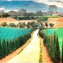 성한목장 이미지