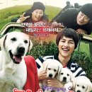 없음 - 65732 | 없음