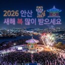 화랑유원지 제2주차장 | 2026 안산 제야의종 <화랑유원지 단원각> 드론 라이트쇼, 주차장 및 교통통제