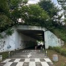 버드나무식당 | 인천 남동구 시골 할머니집 감성식당 버드나무집 후기 (마루석)
